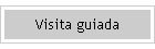 Visita guiada