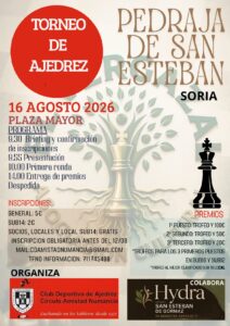 Torneo de ajedrez «Pedraja de San Esteban». @ PLAZA MAYOR